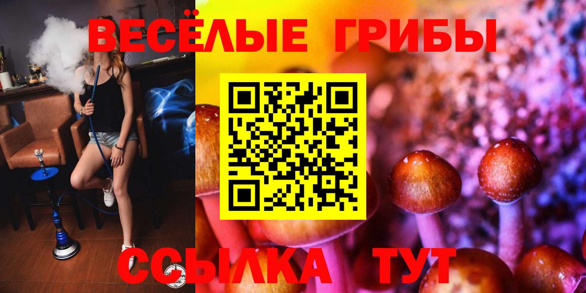 Галлюциногенные грибы Cubensis Зеленокумск